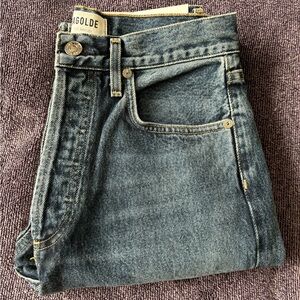 Agolde 90's Pinch Waist High Rise Straight